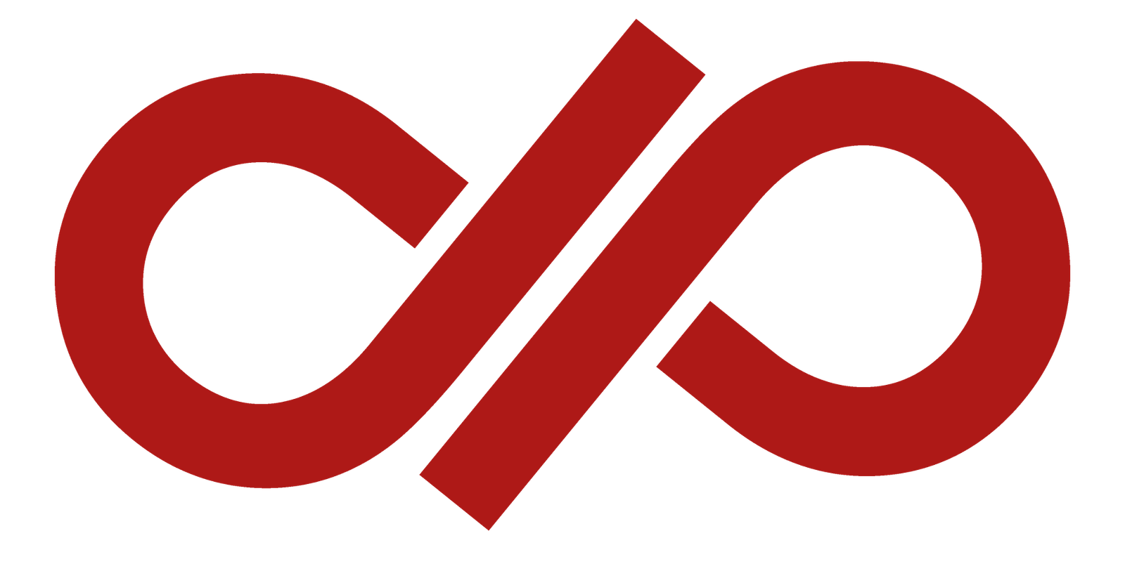 P&P Partner